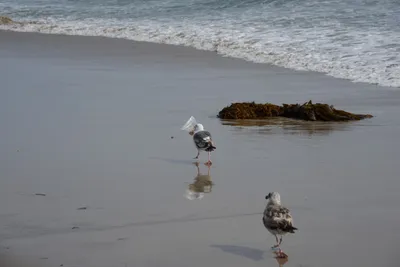 DSC_2251 (Large).JPG